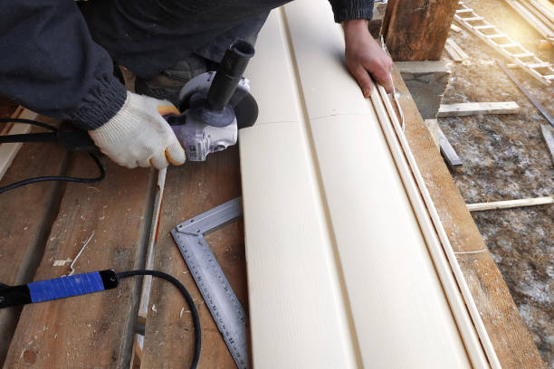 Best Historical Building Siding Restoration  in Goodrich, MI